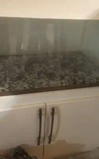 اکواریوم