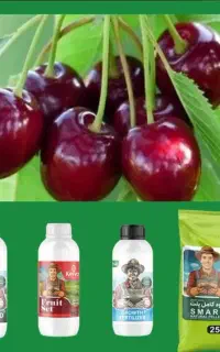 با ما افزایش قیمت را حس نمیکنید