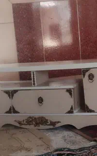 زیرتلیوزیون