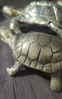 لاک پشت برنجی