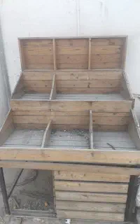 قفسه میوه