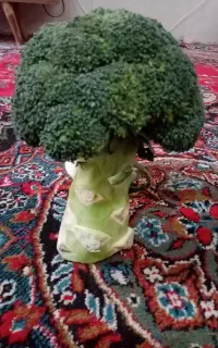 سنتی طبیعی سیب سرکه