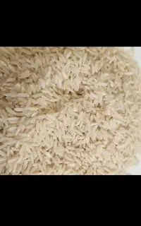 برنج طارم هاشمی ۴۰کیلو