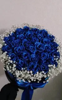 گل ربانی