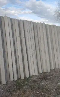 تیر باغی تیرچه