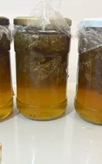 عسل شهری