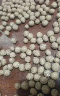 طعمه بویله ماهیگیری