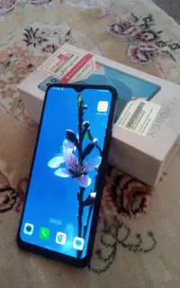 هانرx6