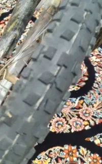 دوچرخه سالم بدون هیچ مشکلی