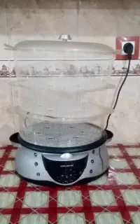 بخار پز