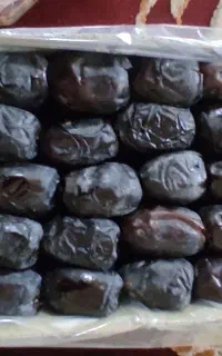 خرما مهرستان