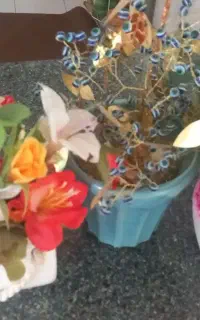 گلدانهای زیبا