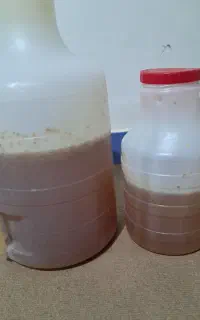 عسل مرغوب