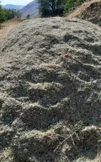 علف