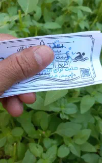 بلیت استخر