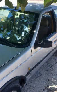 پژو ۴۰۵ دوگانه سوز شرکتی