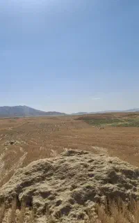کاه