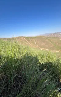 تور طبیعت گردی والیبال