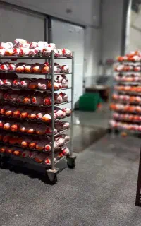 استخدام حسابدار برای نرم افزار هلو