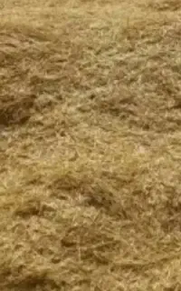 فروش کاه عدس صدکیلو