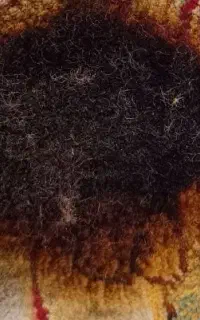 رفو فرش و قالی