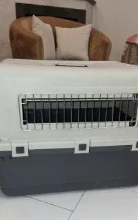 باکس.قلاده.ظرف غذا حیوانات