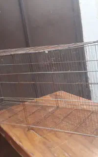 قفس پرنده