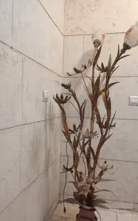 آباژور