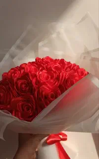 گل روبانی و پروانه