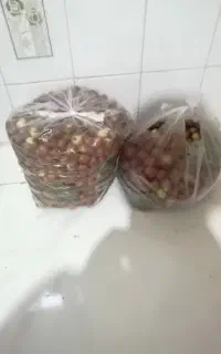 عناب تازه