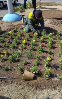 باغبان، سم پاشی ، هرس ،کاشت