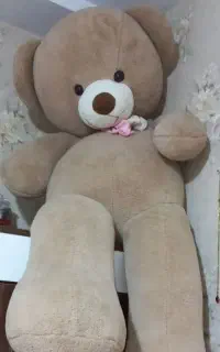 شاسخین خرس بزرگ