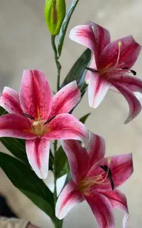 گل لیلیوم ‌مصنوعی