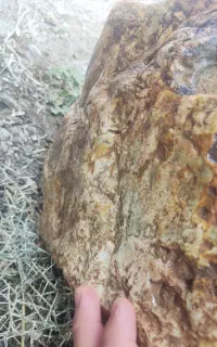 س.نگ فیروزه