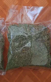 بابونه محلی سبز و تمیز معطر