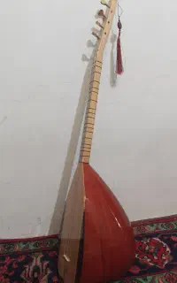 باغلاما اکتای ییلماز به همراه کیف