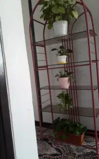 استندگل یا کتابخونه