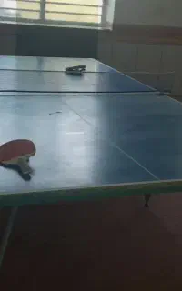 میز پینگ پنگ