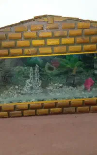 اکواریوم