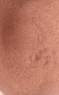 قدمه