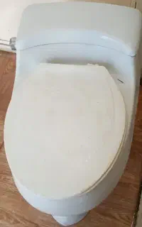 توالت رنگی