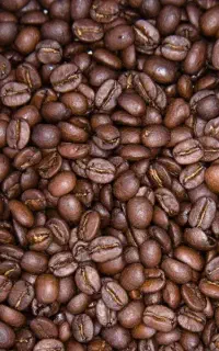 فروش انواع قهوه