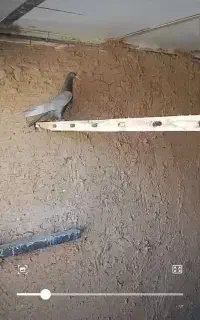کبوتر