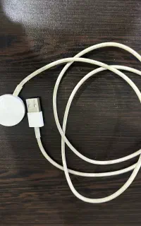 کابل اپل واچ‌