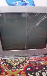 تلوزیون