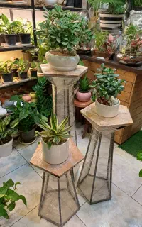استند گل و پایه گل