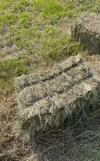 علوفه پرس