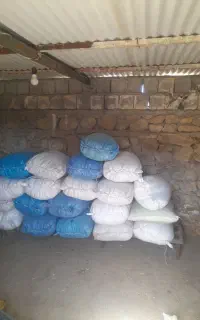 فروش گندم دهدشت