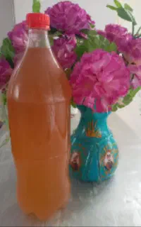 سرکه سیب خونگی دوساله