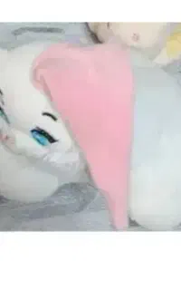 تعدادی عروسک
